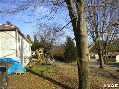 0 Molasses Valley Road Kunkletown, PA 18058 - Photo 5 of 7 FRONT YARD
