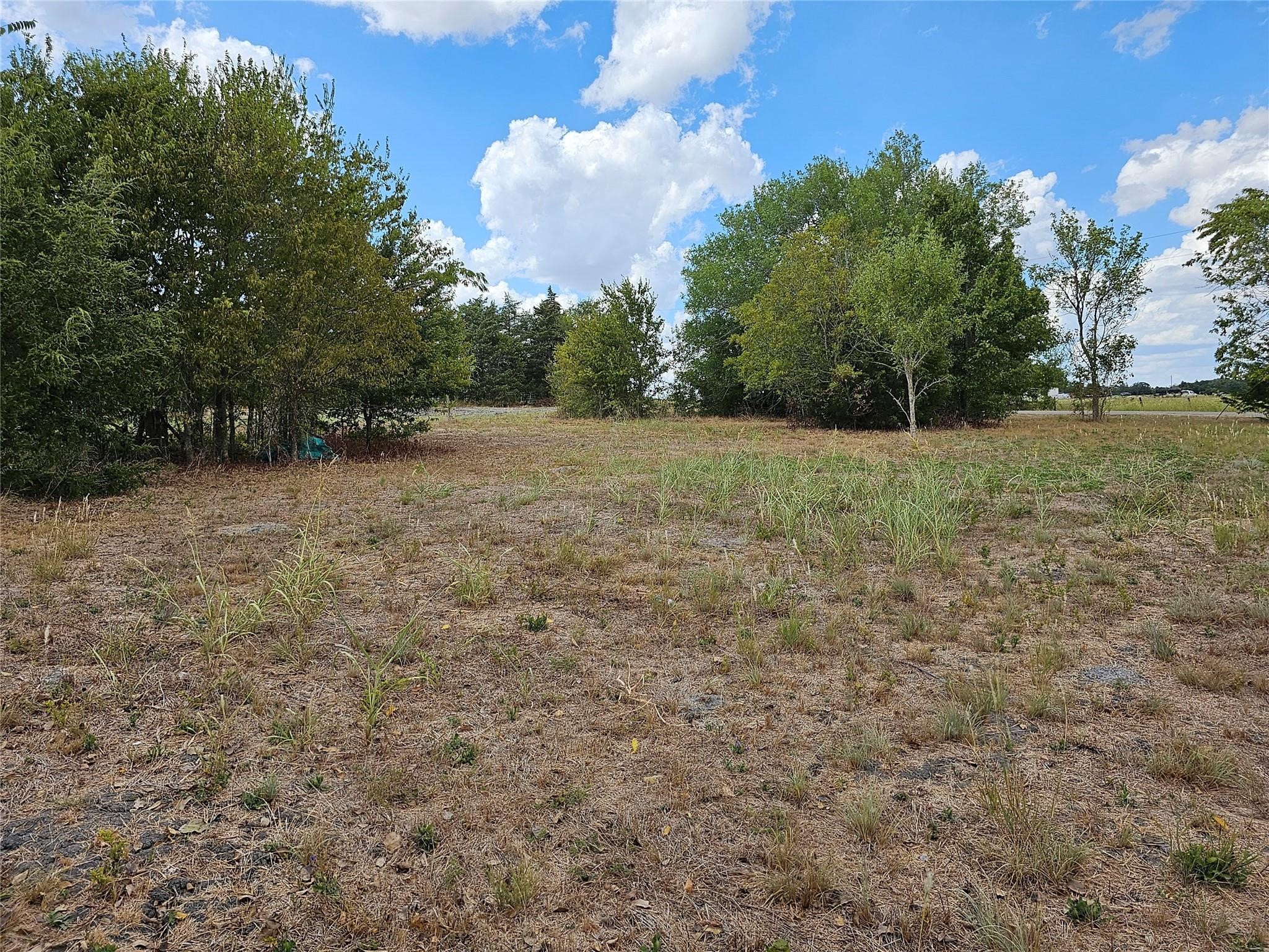 6500 Sacred Heart Road Burton, TX 77835 - Photo 7 of 8