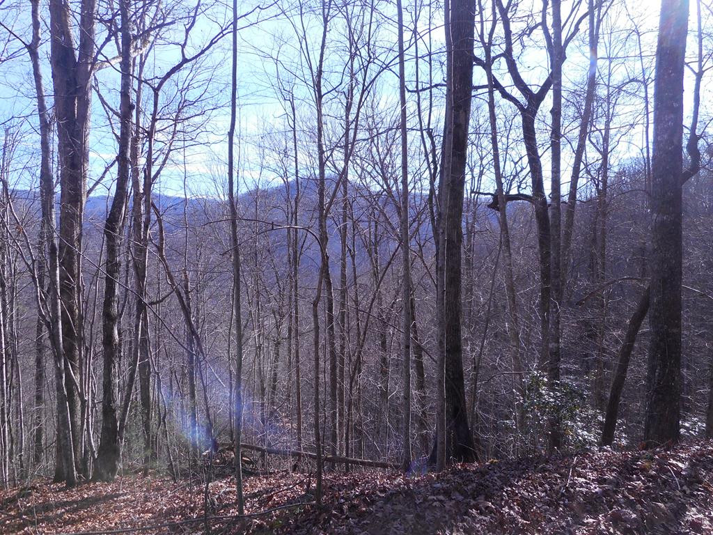 1218 Pinhook Road Robbinsville, NC 28771 - Photo 12 of 12