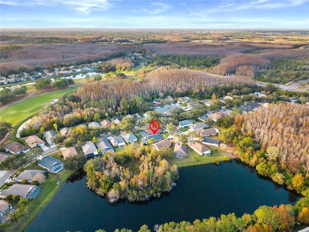 6006 Chellas Court Lutz, FL 33558 - Photo 48 of 61