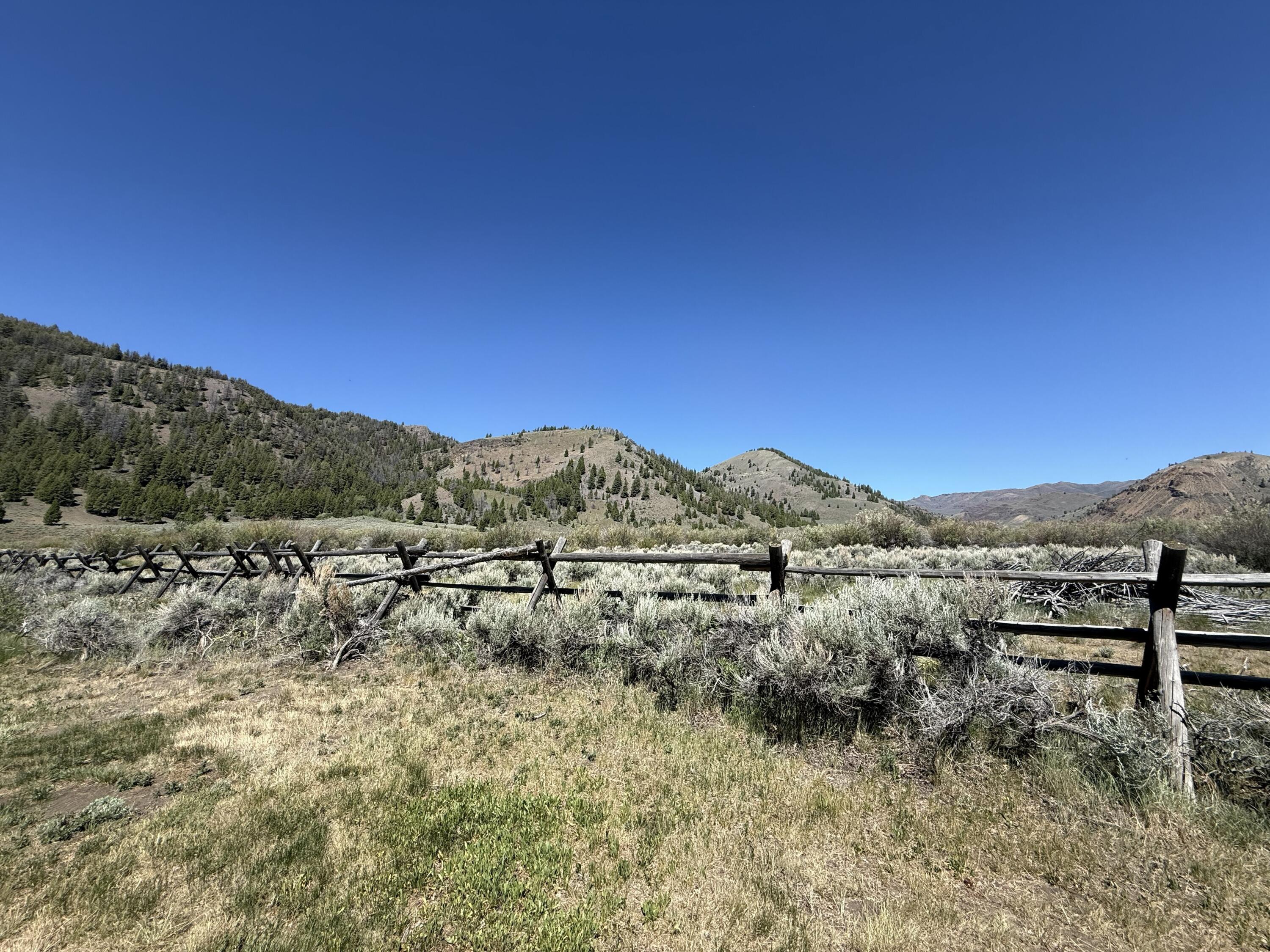 4299 North Fork Road Mackay, ID 83251 - Photo 23 of 27 Backyard view