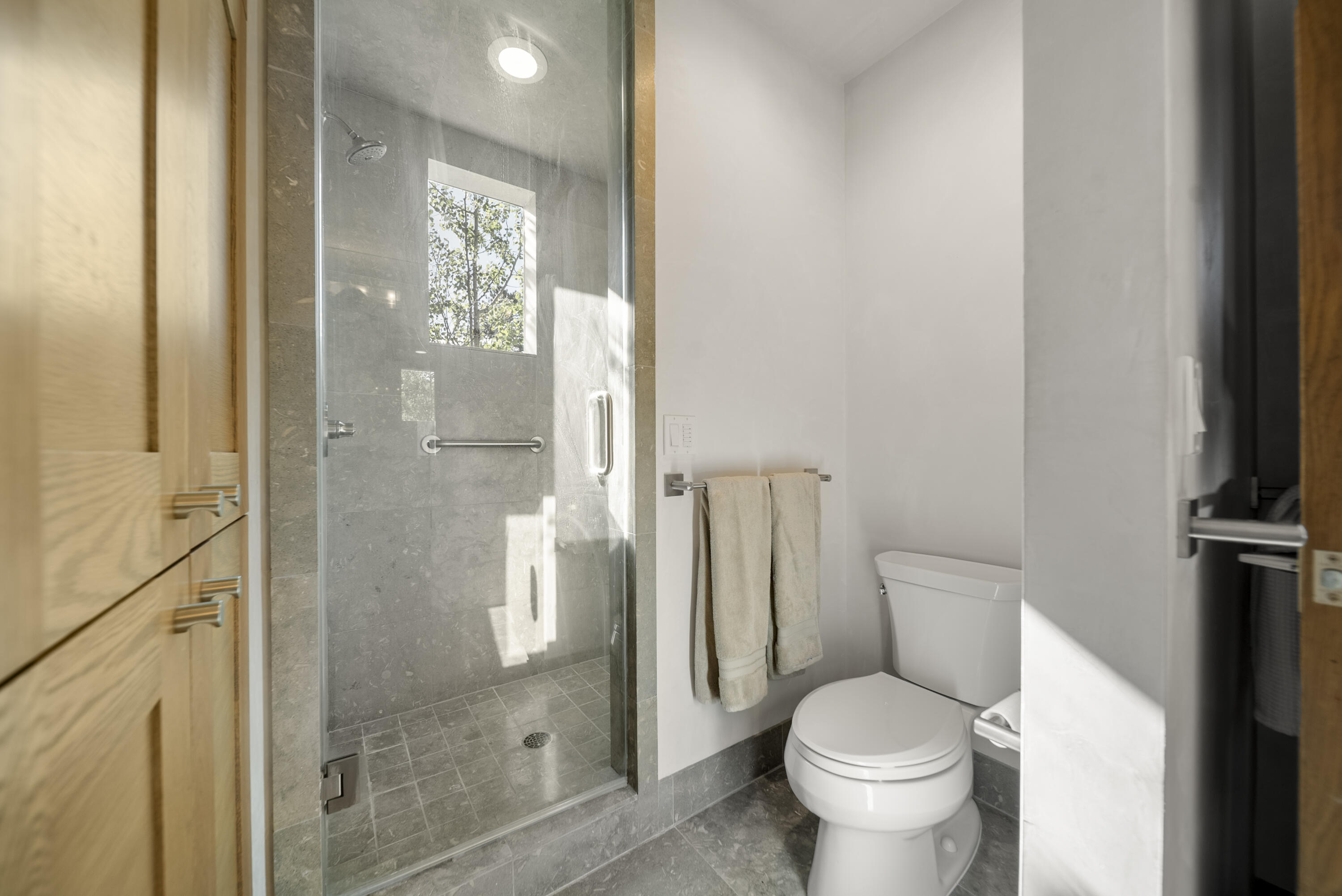 245 South Sunset Ridge Drive Telluride, CO 81435 - Photo 13 of 26 a bathroom with a granite countertop toilet and a shower