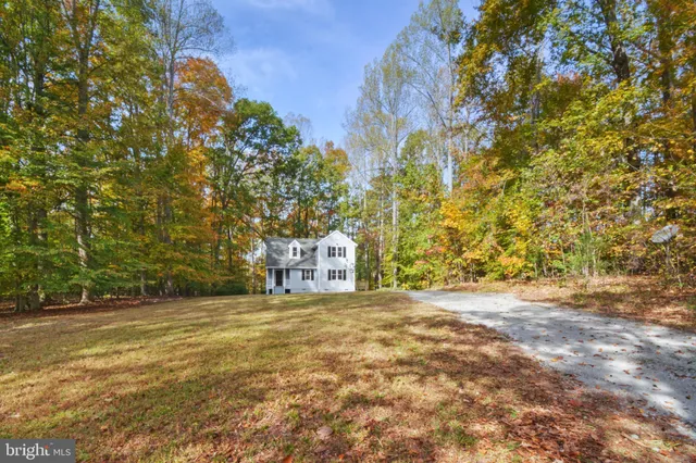 a view of a field with an tree
