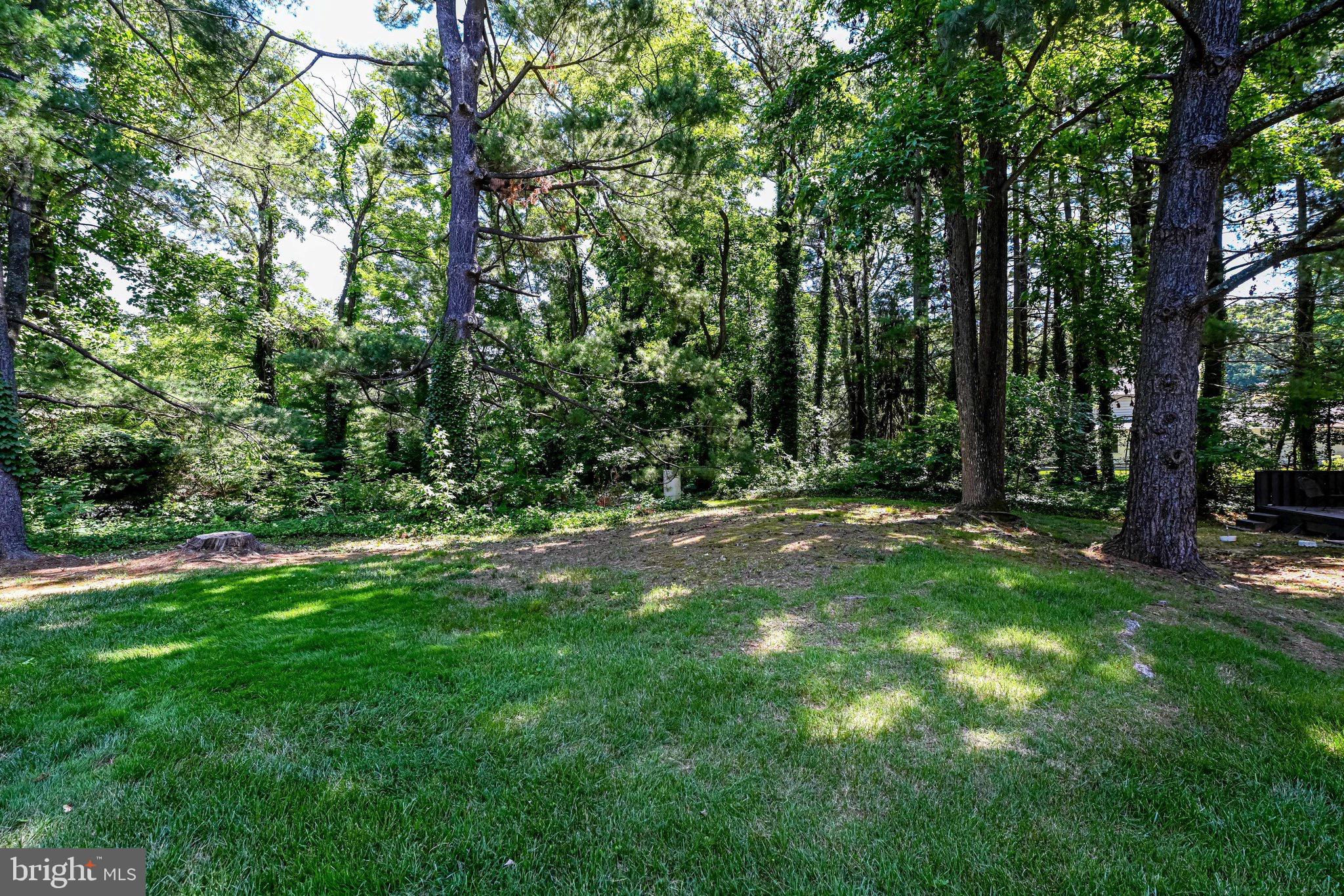 11064 Saffold Way Reston, VA 20190 - Photo 5 of 51 Gallery Image 5