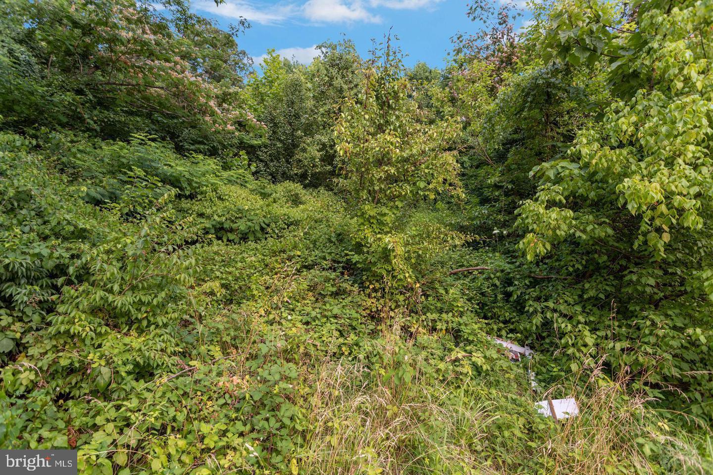 9005 Backlick Road Fort Belvoir, VA 22060 - Photo 7 of 25 a view of a large yard with lots of bushes
