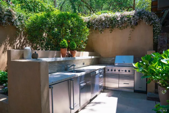 front view of a house with potted plants