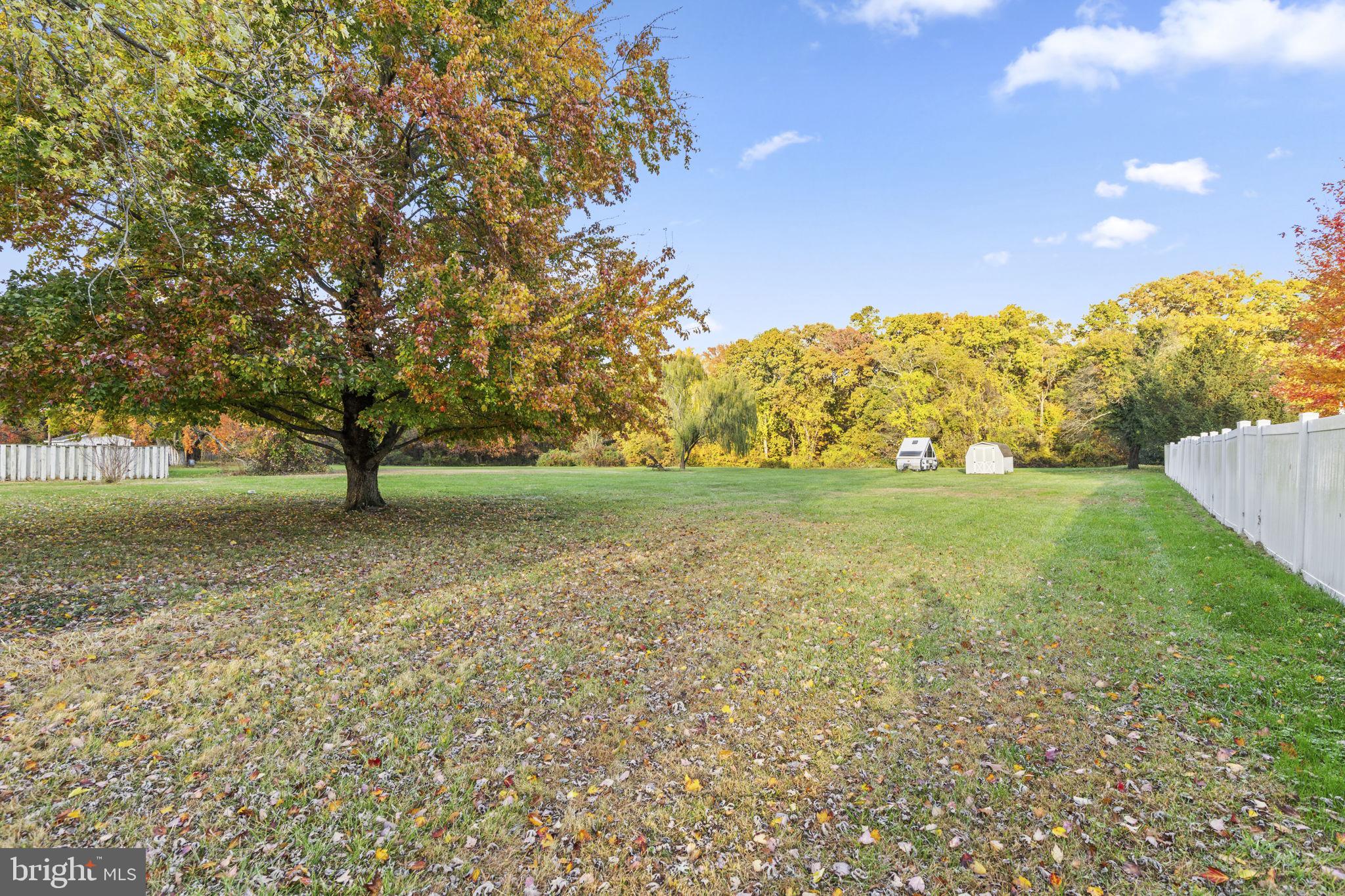 413 Magnolia Road Edgewood, MD 21040 - Photo 37 of 49 a view of yard with tree