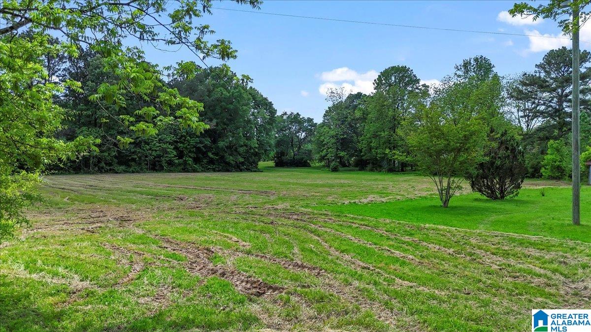 414 Edmondson Road Hanceville, AL 35077 - Photo 34 of 43