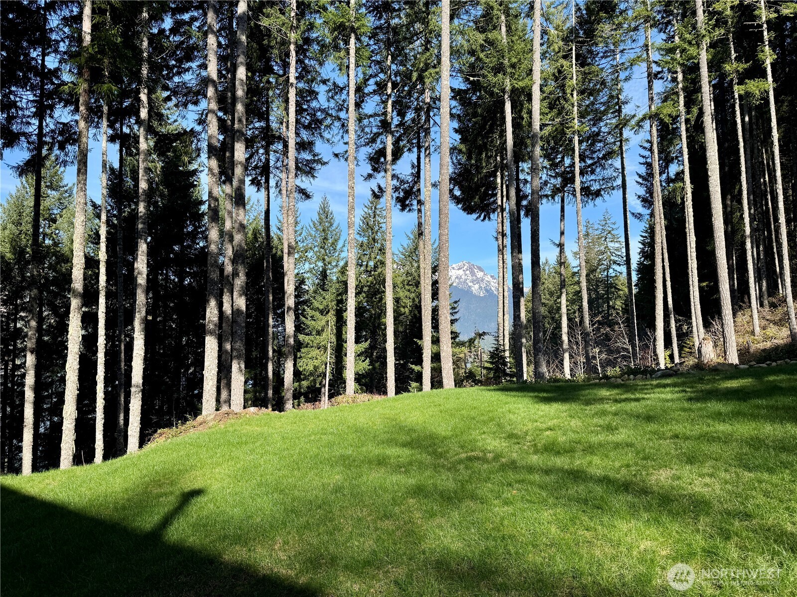 70 Rim View Place Hoodsport, WA 98548 - Photo 2 of 35 a view of a park with a trees