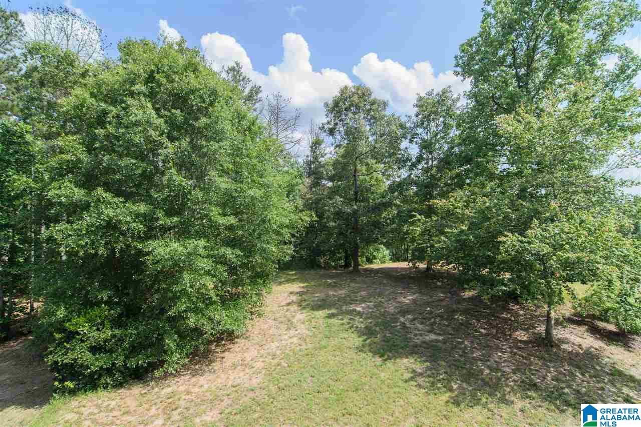 364 Deer Ridge Lane Chelsea, AL 35043 - Photo 37 of 42