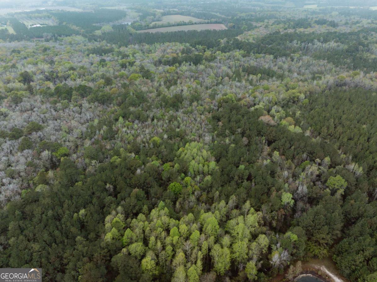 2324 Old Screven Road Jesup, GA 31545 - Photo 11 of 18 a view of a field of grass and covered with green space