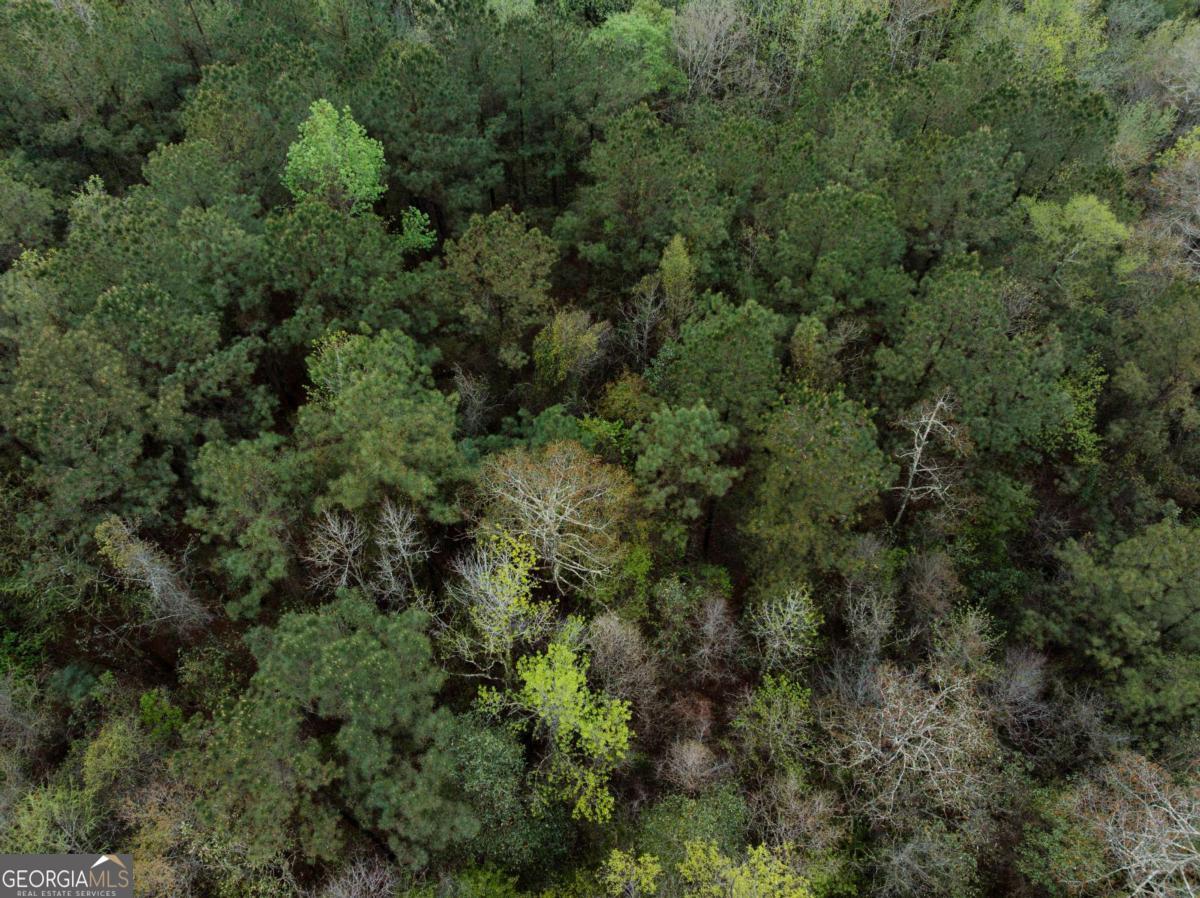 2324 Old Screven Road Jesup, GA 31545 - Photo 13 of 18 an aerial view of residential house with outdoor space and trees all around