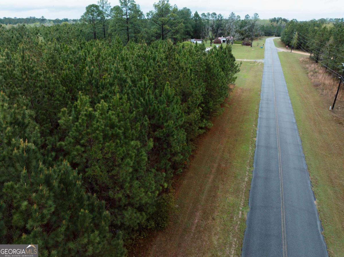 2324 Old Screven Road Jesup, GA 31545 - Photo 16 of 18 a view of a lake with a large trees