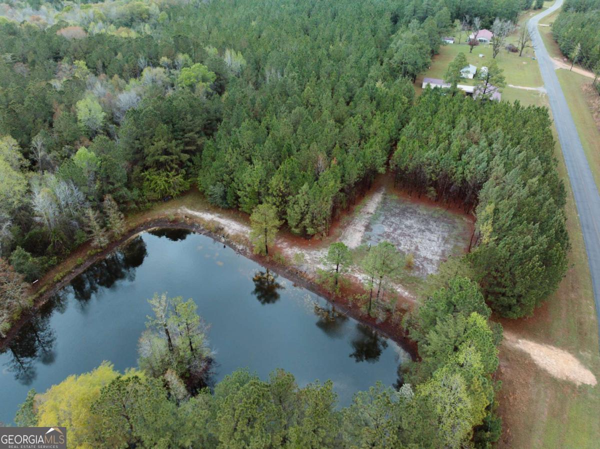 2324 Old Screven Road Jesup, GA 31545 - Photo 4 of 18 an aerial view of lake residential house with swimming pool and green space