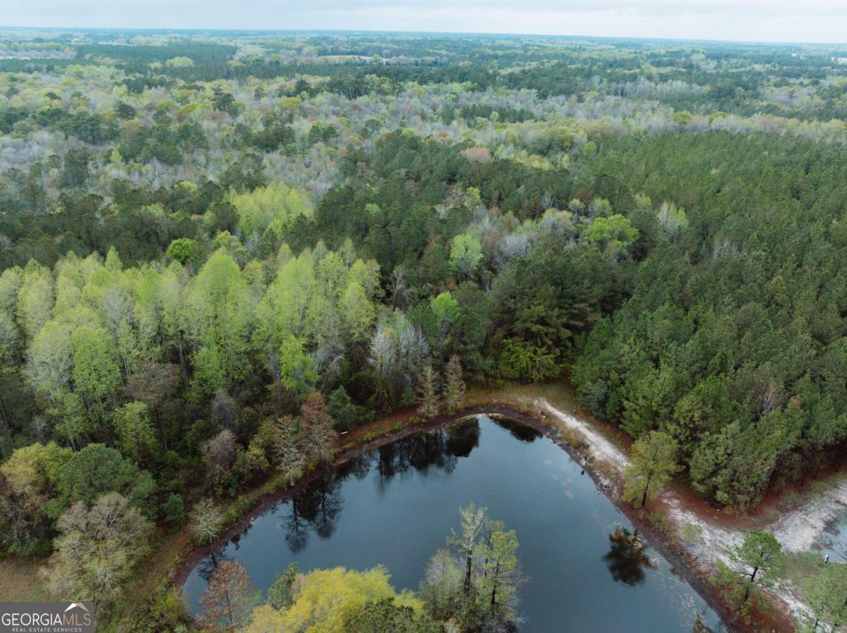 2324 Old Screven Road Jesup, GA 31545 - Photo 7 of 18 an aerial view of lake residential house with outdoor space and trees around