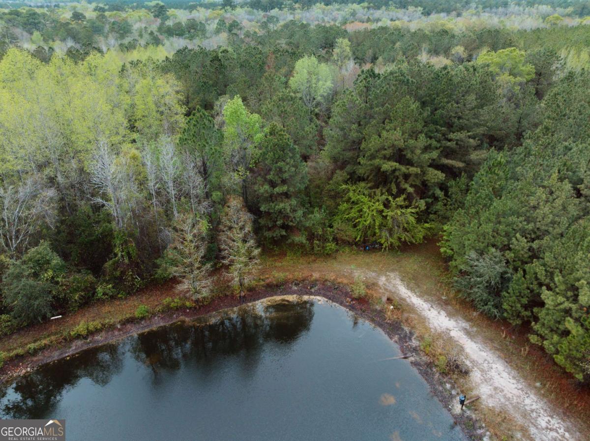 2324 Old Screven Road Jesup, GA 31545 - Photo 9 of 18 a view of a lake from a yard