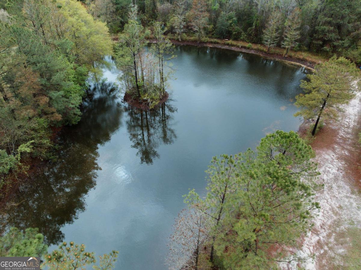 2324 Old Screven Road Jesup, GA 31545 - Photo 10 of 18 a view of a lake with a mountain