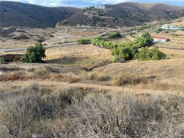 a view of a dry yard with green space
