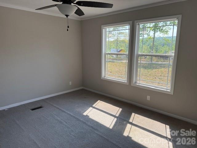4360 Vein Mountain Road Nebo, NC 28761 - Photo 5 of 9