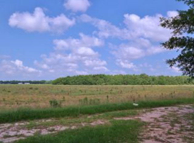 18545 County Road 26 Foley, AL 36535 - Photo 16 of 18 Private Setting