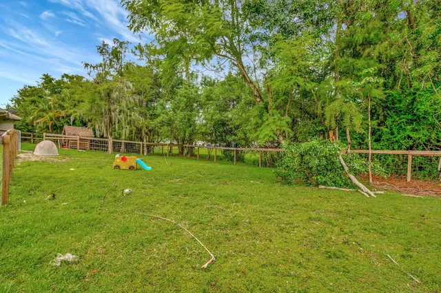 a view of a yard with plants