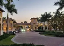 a view of a park with palm trees