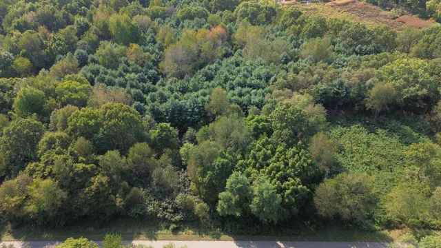 $24,900 | Lot 4 Highfield Road, Three Rivers, MI 49093