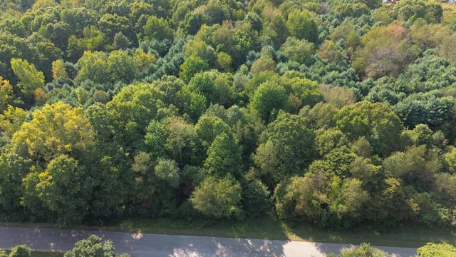 $24,900 | Lot 4 Highfield Road, Three Rivers, MI 49093