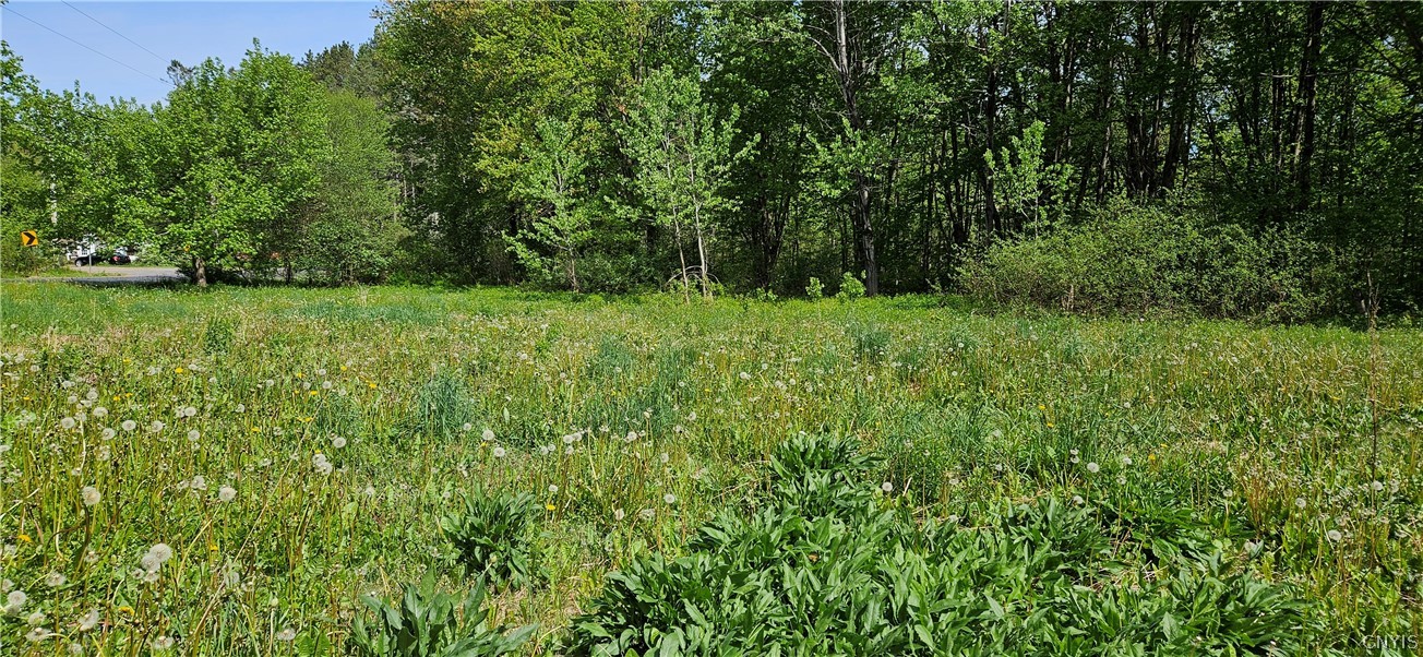 214 Baum Road Hastings, NY 13076 - Photo 7 of 8