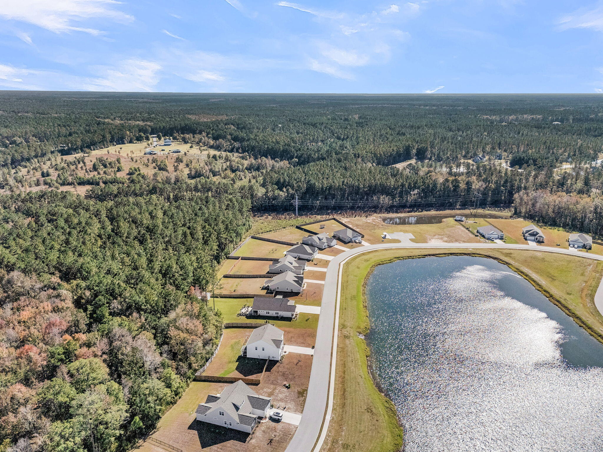 1144 Wading Point Boulevard Huger, SC 29450 - Photo 75 of 95 CREM - 1144 Wading Pt Blvd aerials-16