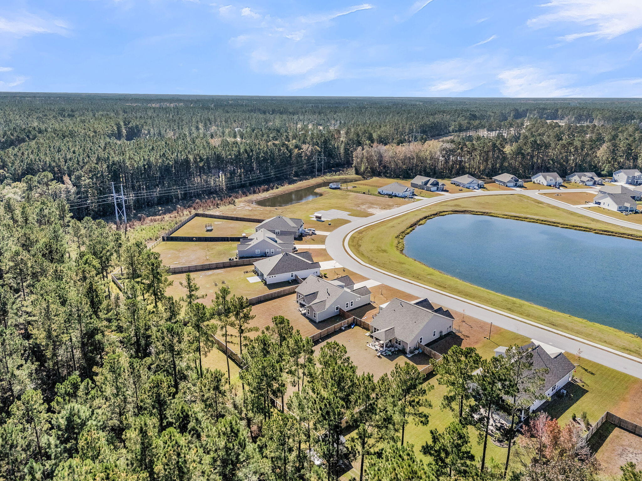 1144 Wading Point Boulevard Huger, SC 29450 - Photo 77 of 95 CREM - 1144 Wading Pt Blvd aerials-17