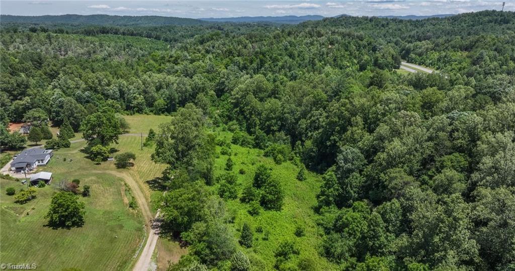 1 Rocky Top Acres Road Ferguson, NC 28624 - Photo 4 of 16