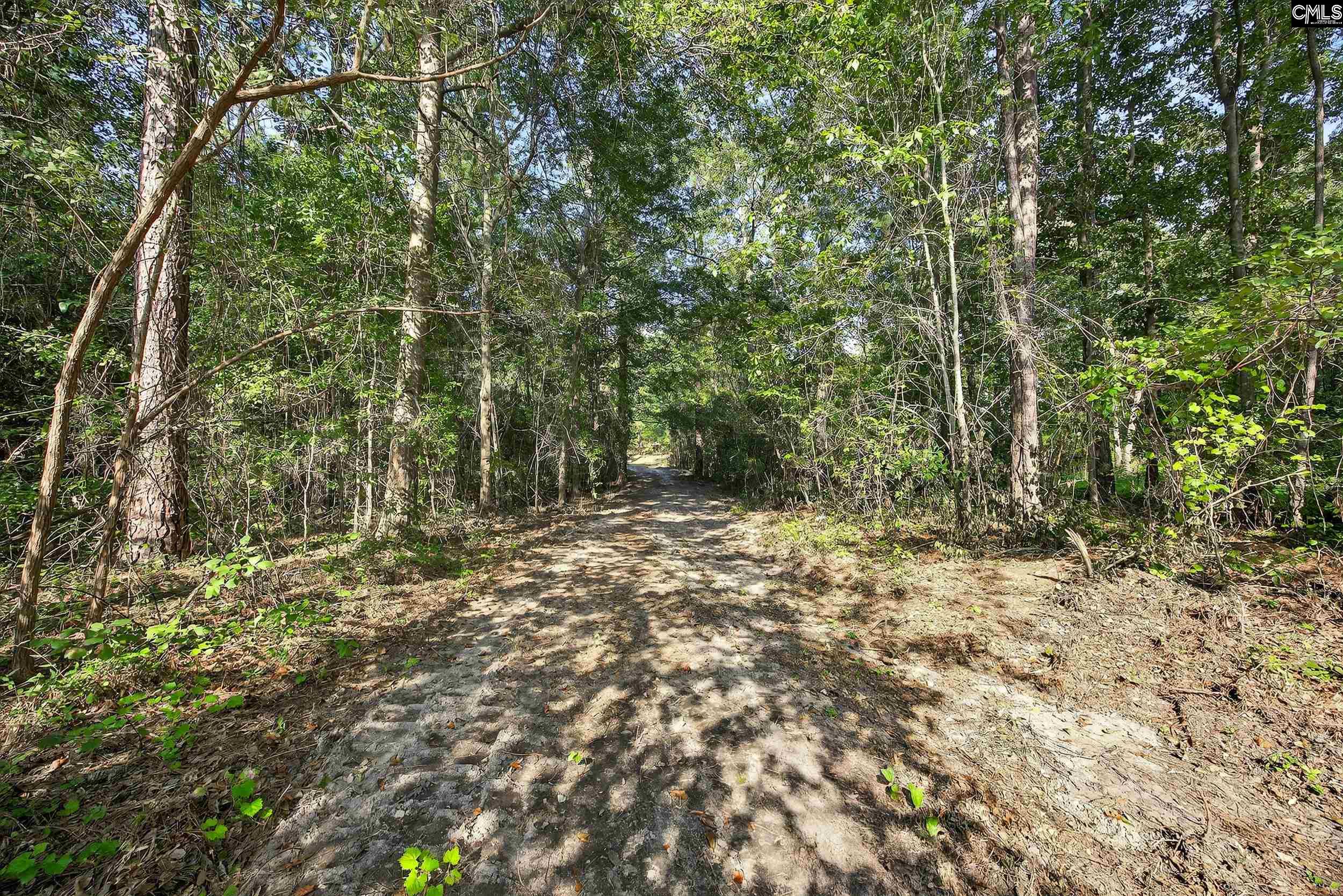 0 Juniper Springs Road, Unit PARCEL A Gilbert, SC 29054 - Photo 8 of 8