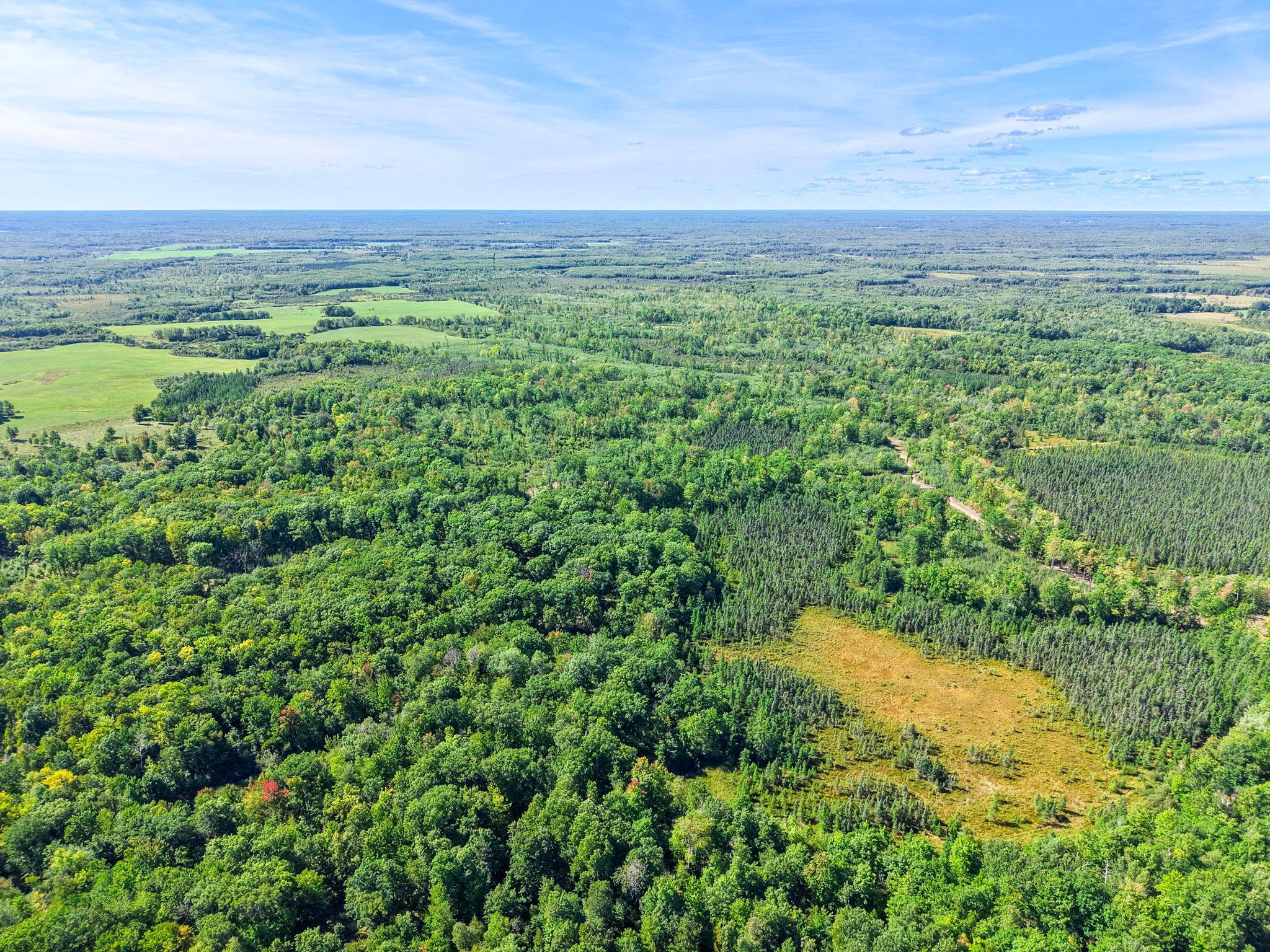 Xxx Fleming Logging Road Hinckley, MN 55037 - Photo 76 of 87 Gallery Image 76