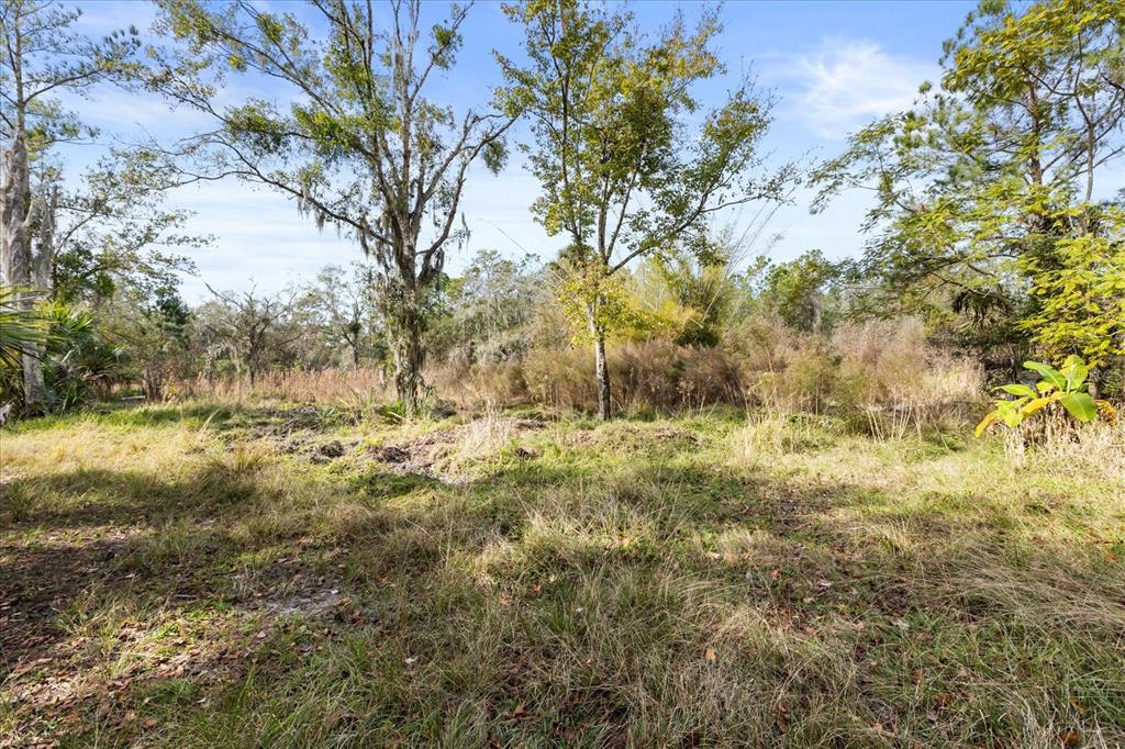 1705 Sunset Trail Geneva, FL 32732 - Photo 14 of 19 a view of yard covered with snow