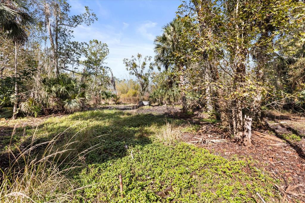 1705 Sunset Trail Geneva, FL 32732 - Photo 18 of 19 a view of lake