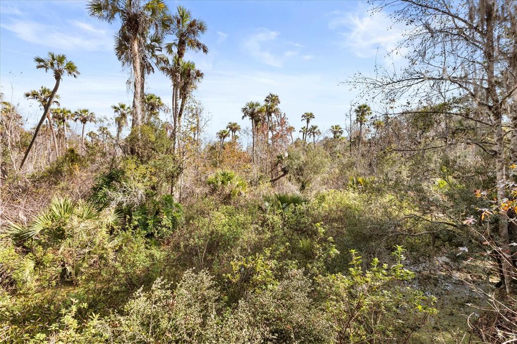 1705 Sunset Trail Geneva, FL 32732 - Photo 2 of 19 a view of a bunch of trees