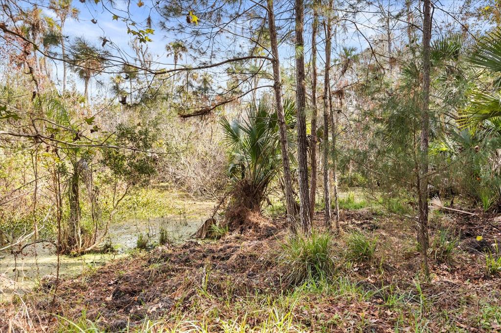 1705 Sunset Trail Geneva, FL 32732 - Photo 3 of 19 a view of a yard