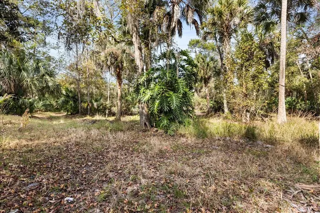 a view of outdoor space and trees