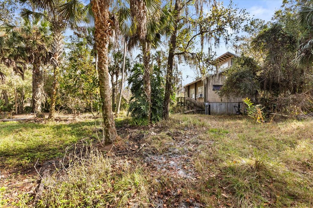 1705 Sunset Trail Geneva, FL 32732 - Photo 5 of 19 a backyard of a house with lots of tall trees
