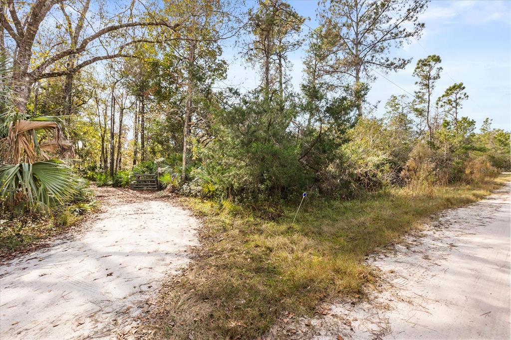 1705 Sunset Trail Geneva, FL 32732 - Photo 6 of 19 a view of a yard with trees