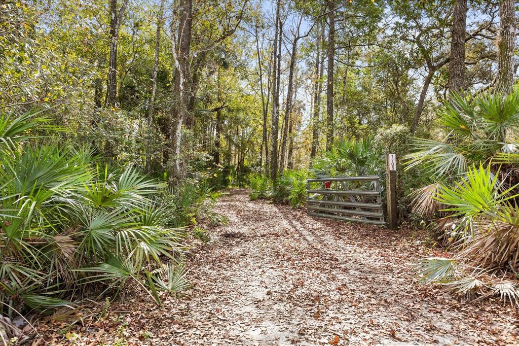 1705 Sunset Trail Geneva, FL 32732 - Photo 7 of 19 a view of backyard with green space