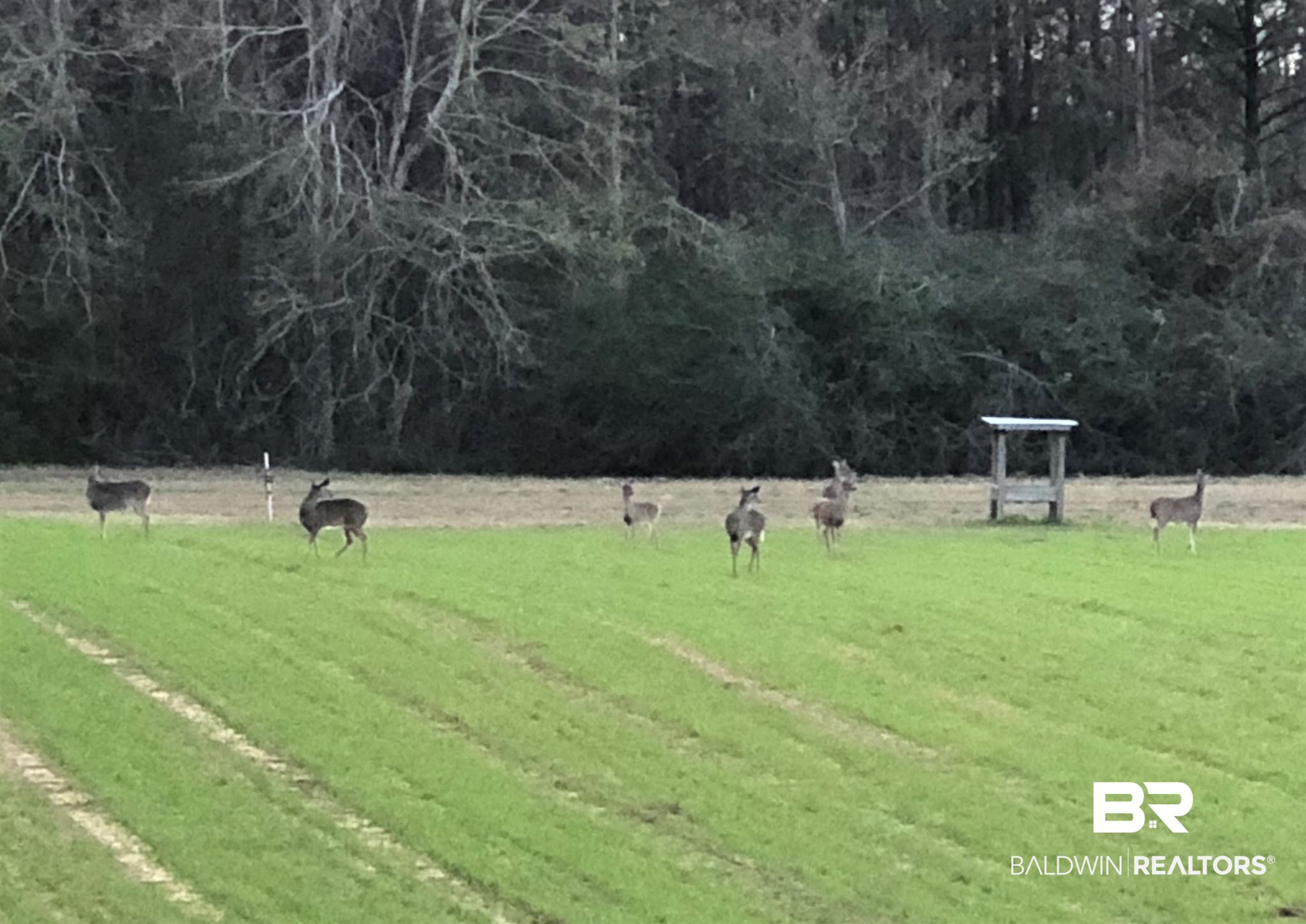28141 B New Hope Church Road Robertsdale, AL 36567 - Photo 2 of 6