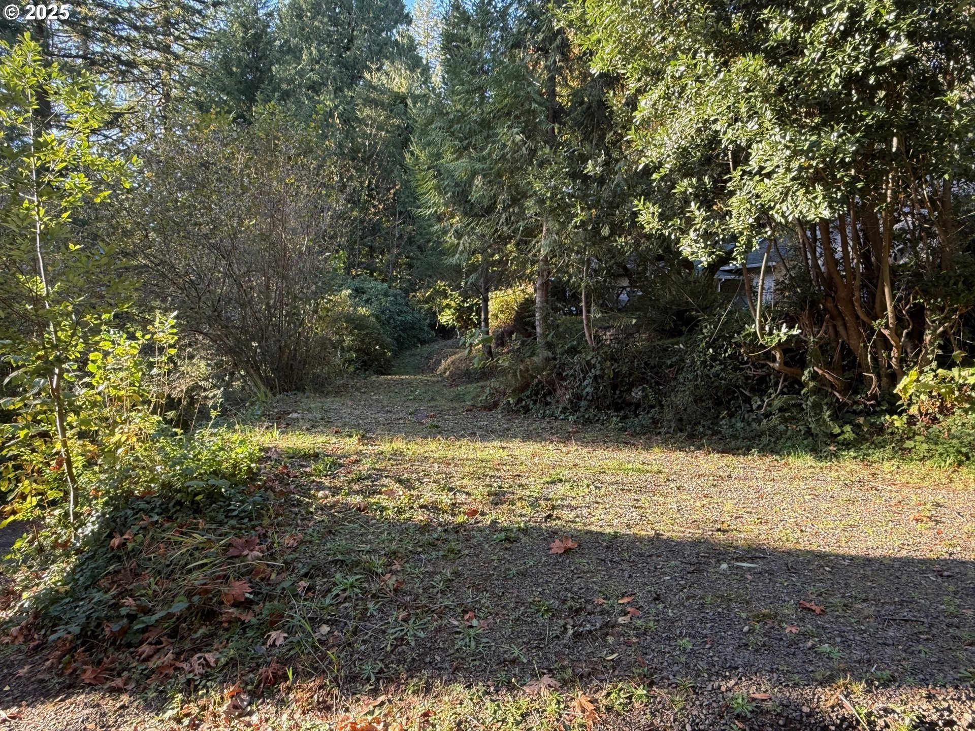 Tiernan Road, Unit 100 Mapleton, OR 97453 - Photo 9 of 10