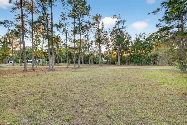 a view of outdoor space with trees