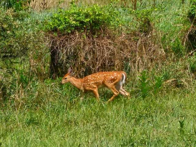a view of an outdoor space and a yard