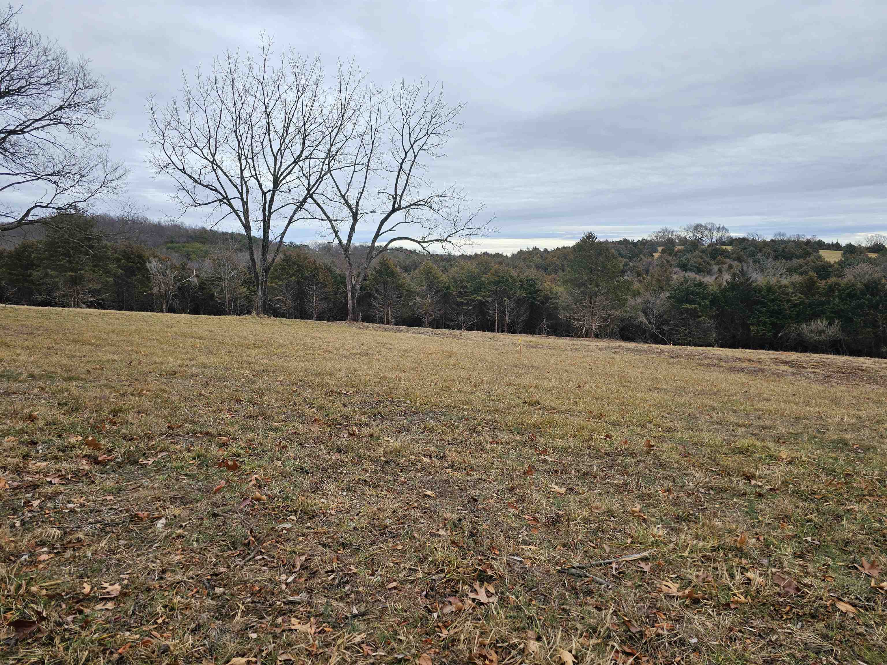 4-crown Ridge Berry Farm Road Verona, VA 24482 - Photo 13 of 39 a view of an outdoor space and a yard