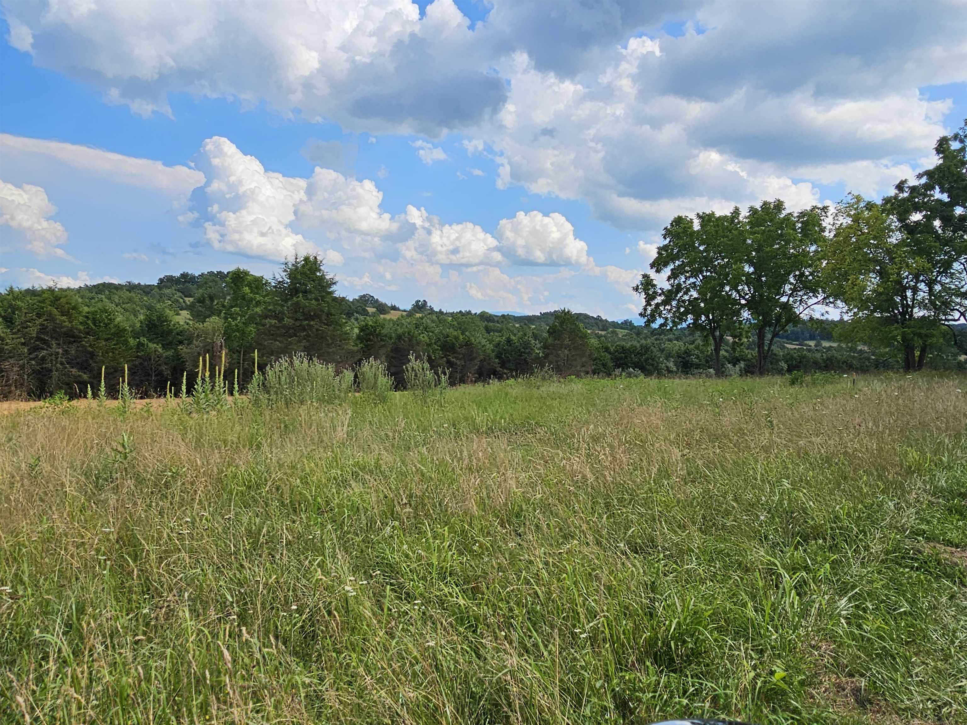 4-crown Ridge Berry Farm Road Verona, VA 24482 - Photo 14 of 39 a view of a lake