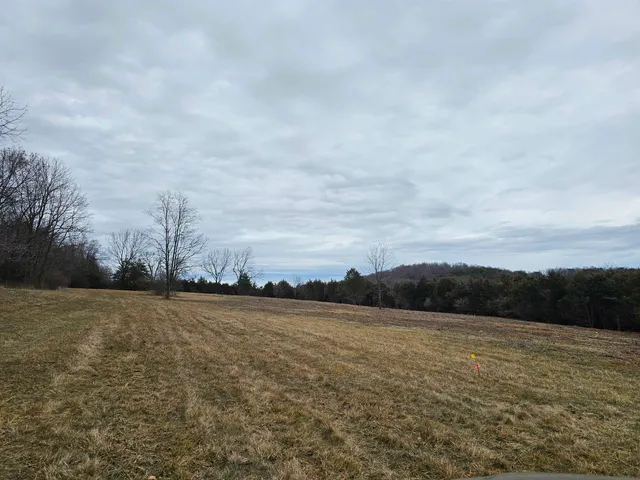 a view of outdoor space with lots of trees