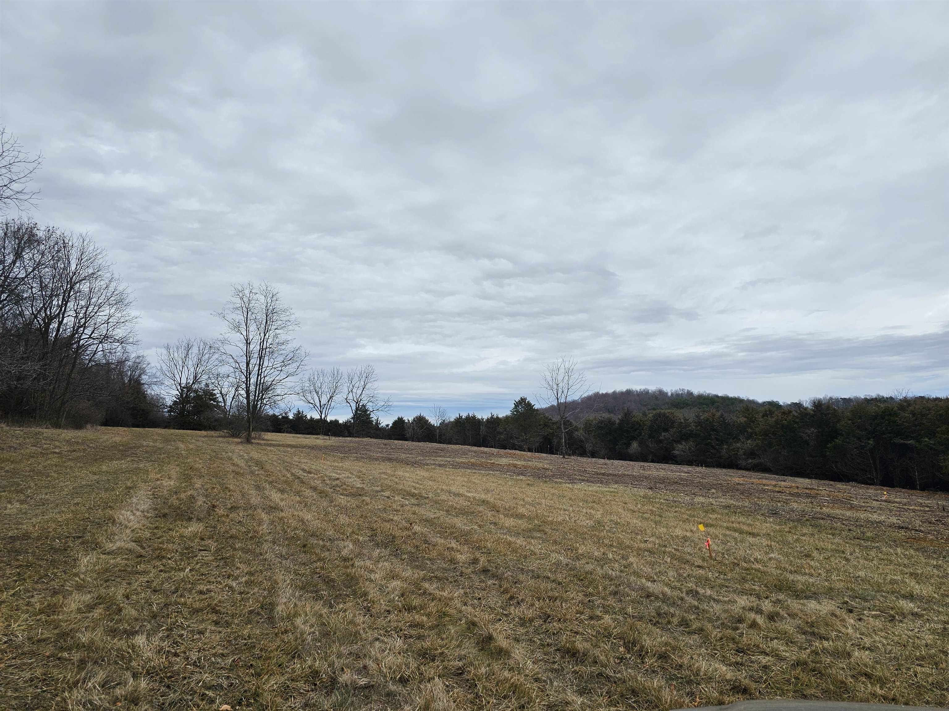 4-crown Ridge Berry Farm Road Verona, VA 24482 - Photo 21 of 39 a view of lake and mountain view